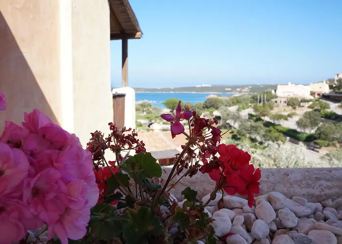 Ξενοδοχείο Bagaglino I Giardini Di 4*