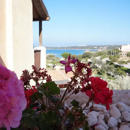 호텔 바가글리노 이 지아르디니 디 포르토 세르보 4*