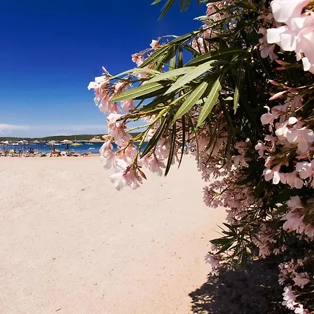 Bagaglino I Giardini Di Hotel 4*