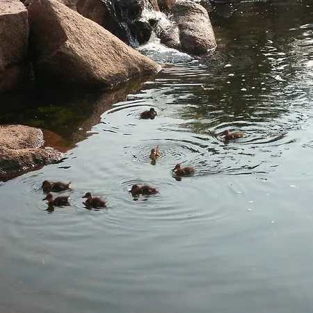 Bagaglino I Giardini Di Отель